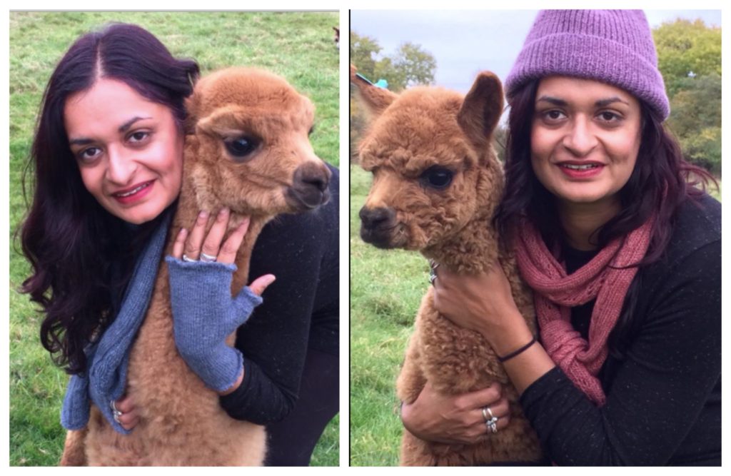 Kierti with brown alpacas Faerie Tale Farm