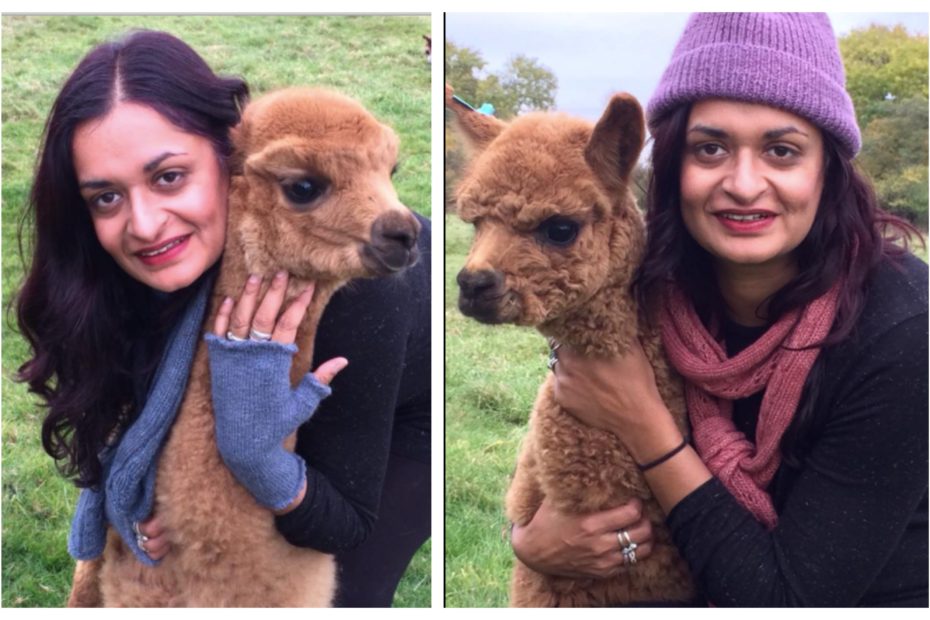 Kierti with brown alpacas Faerie Tale Farm
