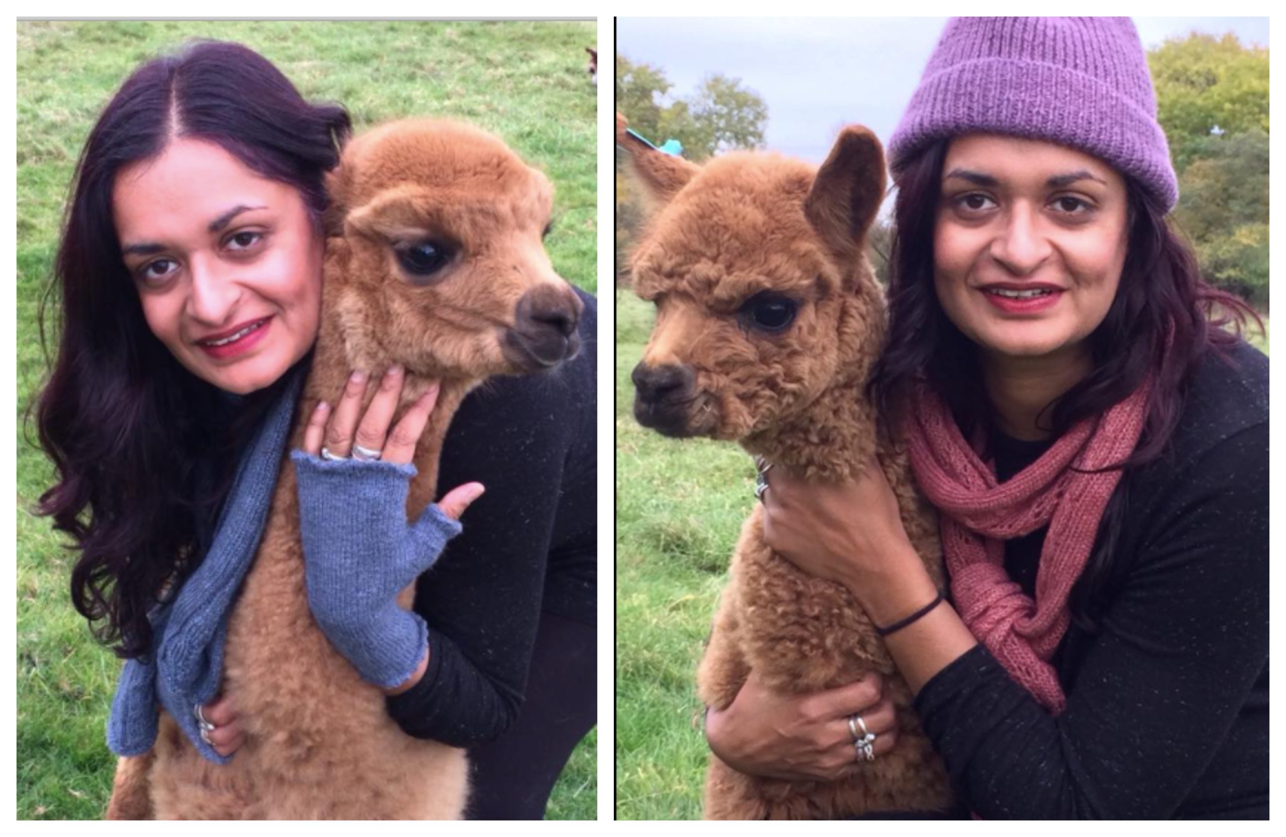 Kierti with brown alpacas Faerie Tale Farm