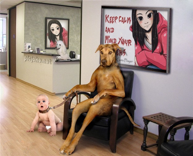 picjoke keep calm dog with baby on leash