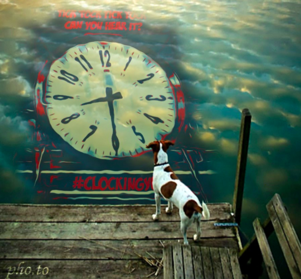 doomsday clock water dog #clockingyou pho.to